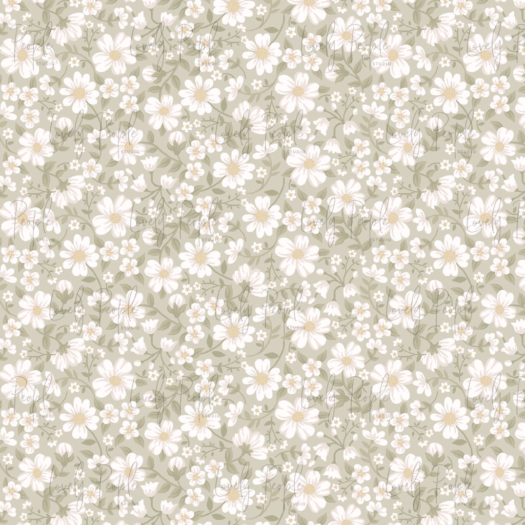 Soft Daisy Floral