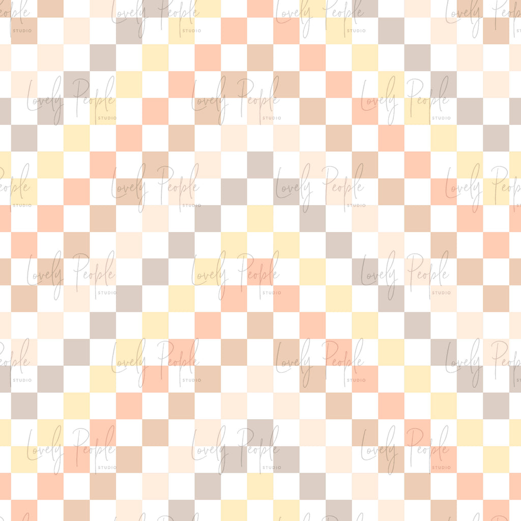Multi Coloured Check 1