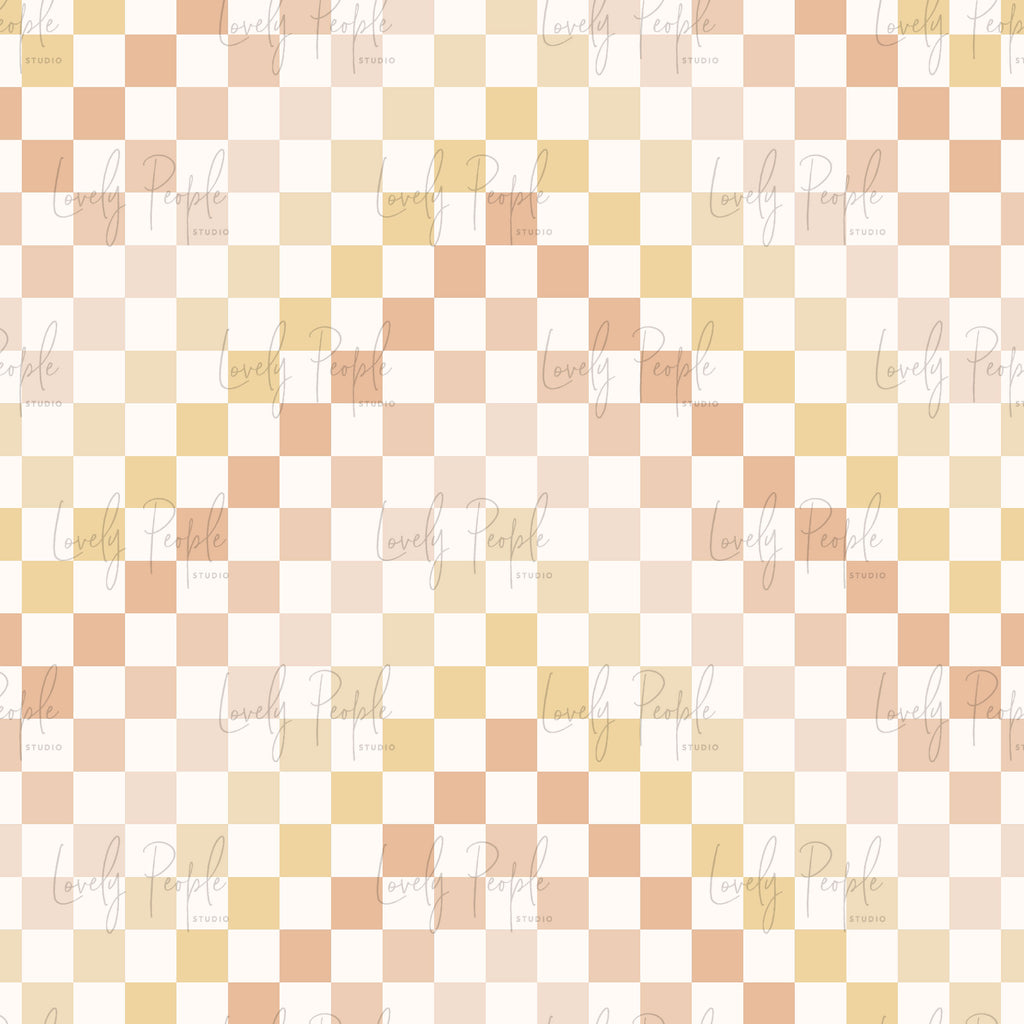 Multi Coloured Check 1