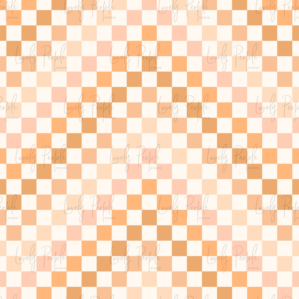 Multi Coloured Check 1