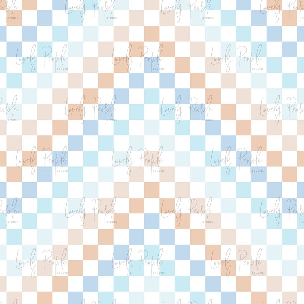 Multi Coloured Check 1