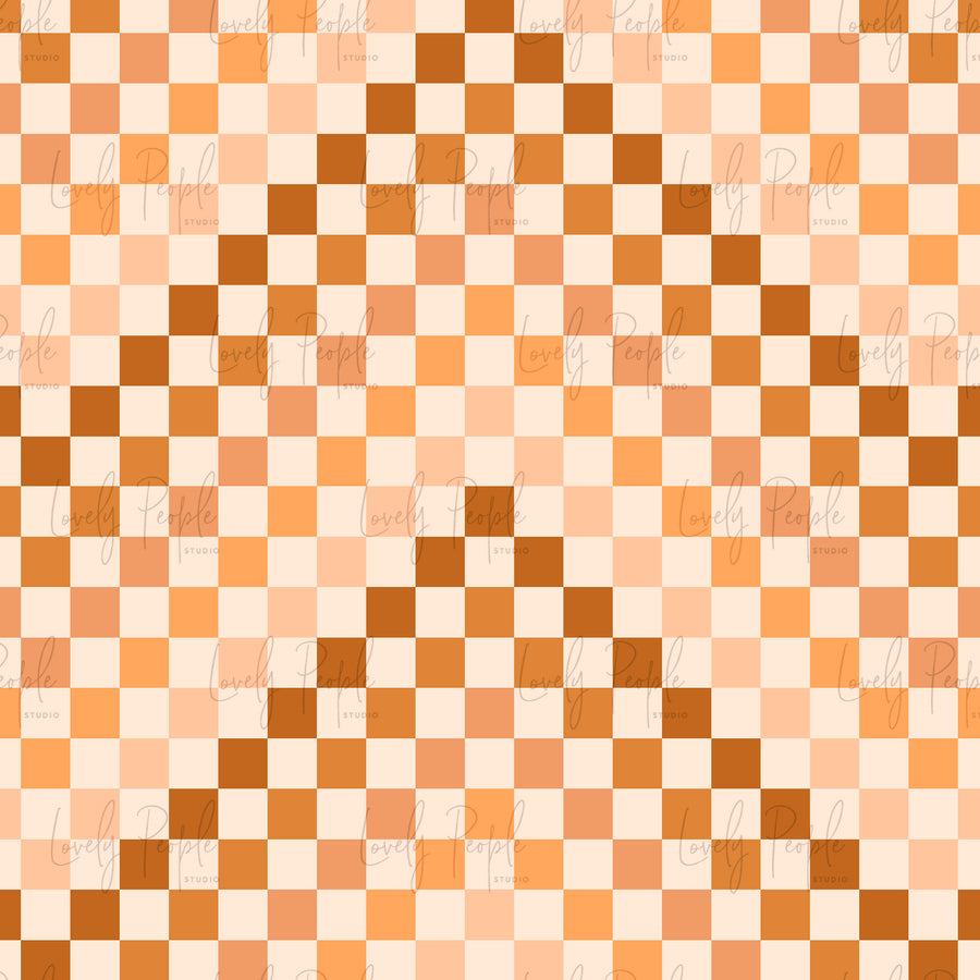 Multi Coloured Check 1
