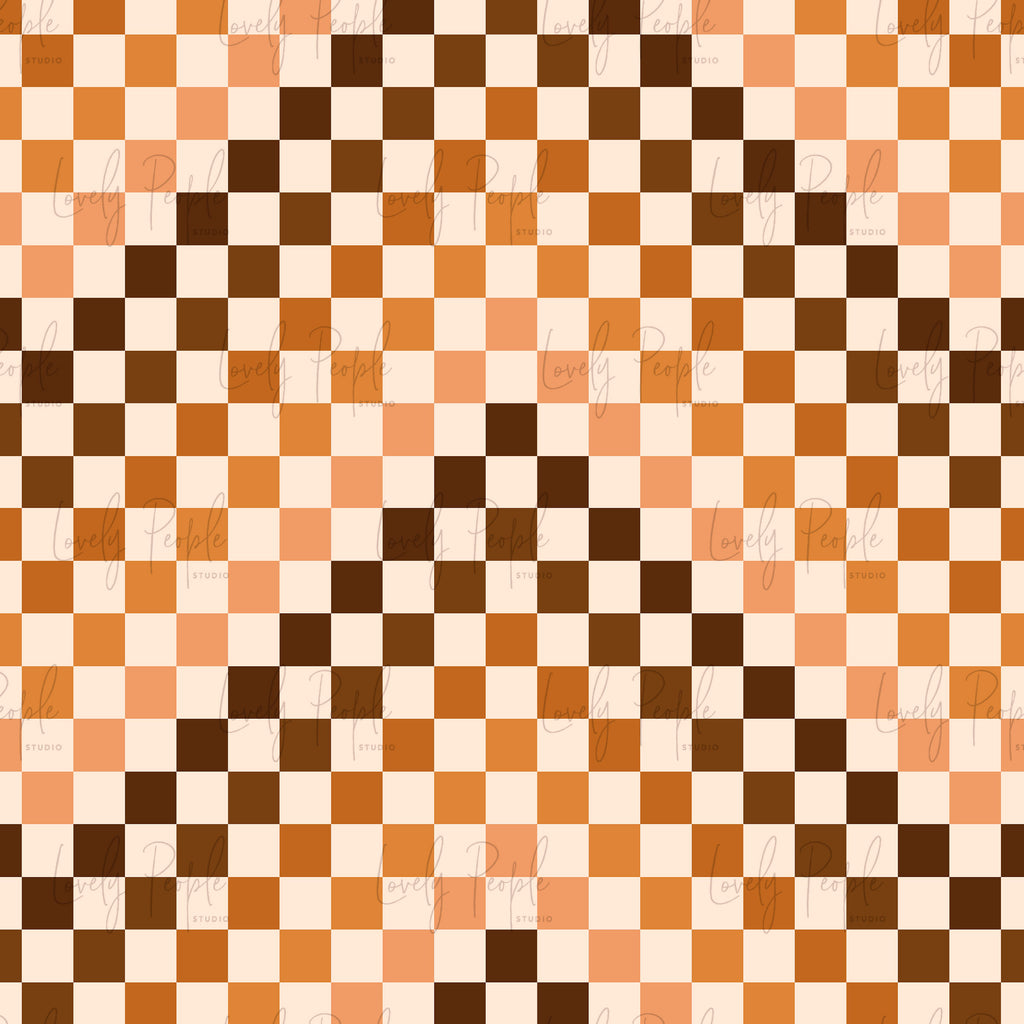 Multi Coloured Check 1