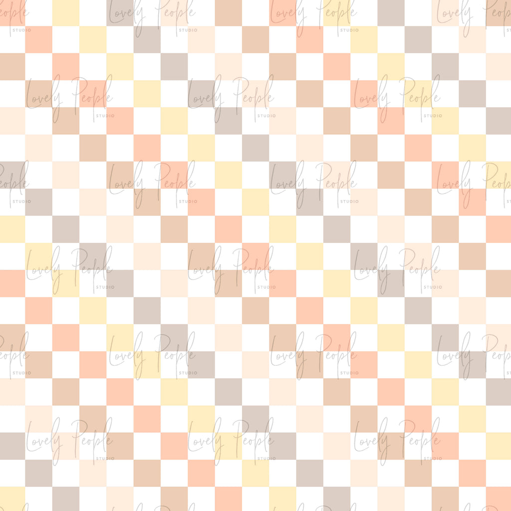 Multi Coloured Check 2