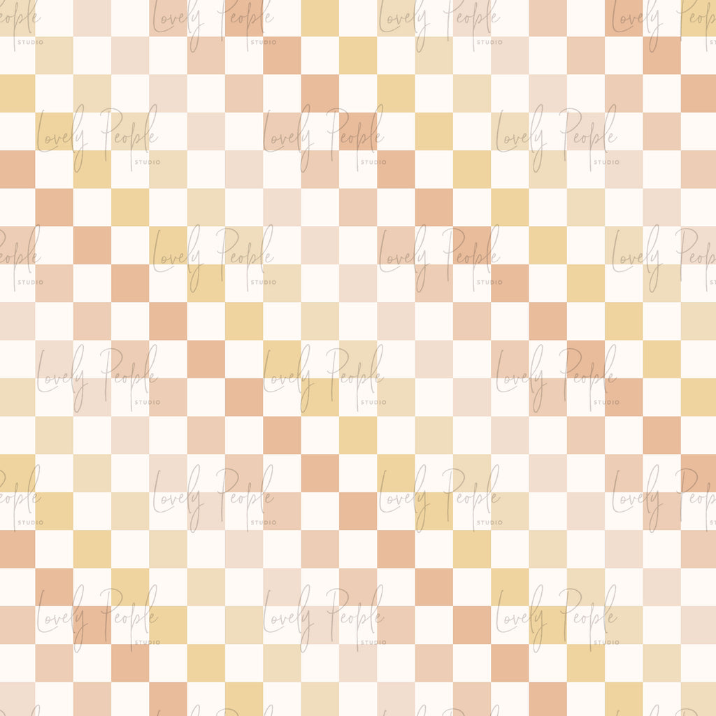 Multi Coloured Check 2