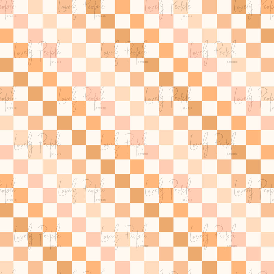 Multi Coloured Check 2