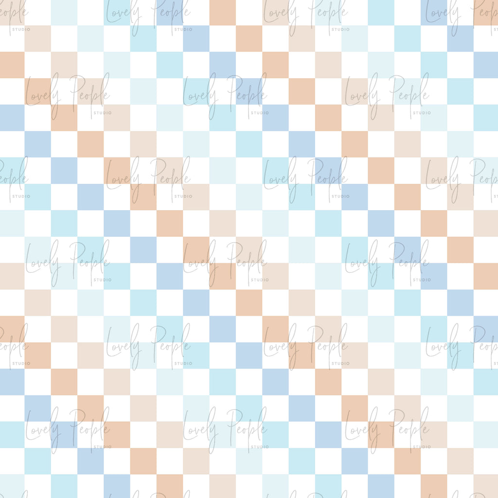 Multi Coloured Check 2