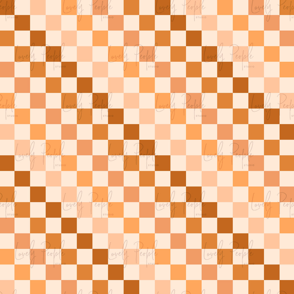 Multi Coloured Check 2