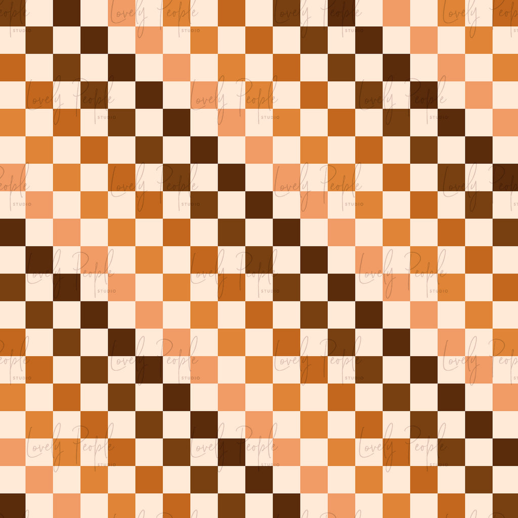 Multi Coloured Check 2
