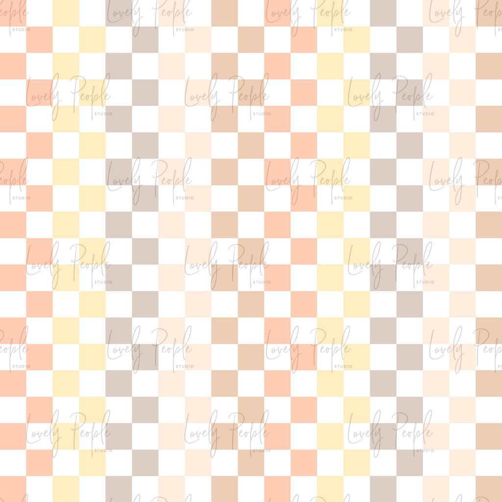 Multi Coloured Check 3