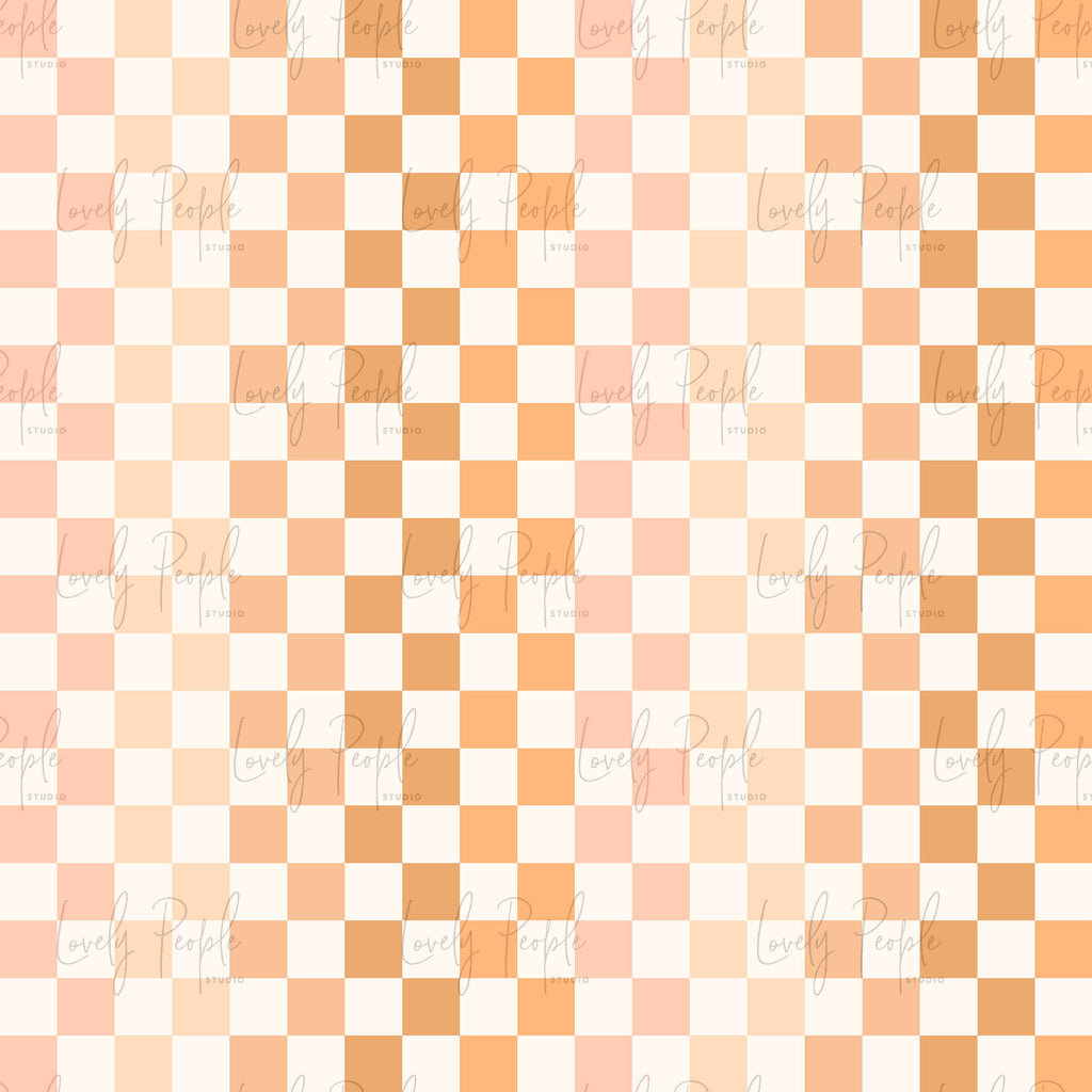 Multi Coloured Check 3