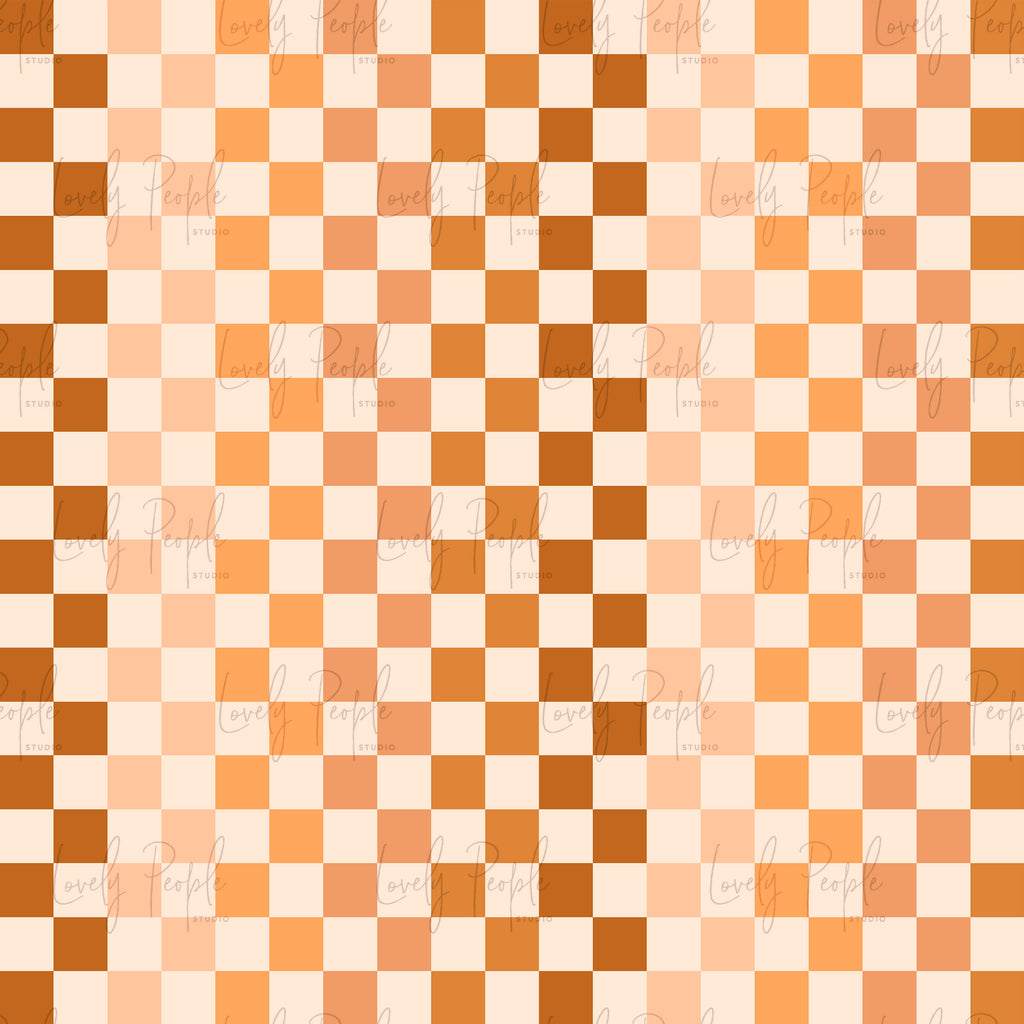 Multi Coloured Check 3