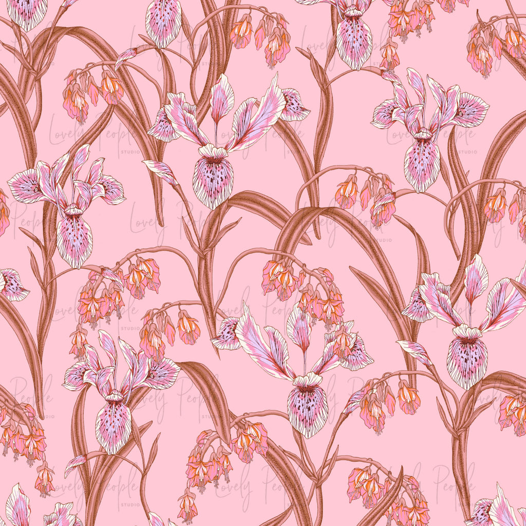 Iris Floral