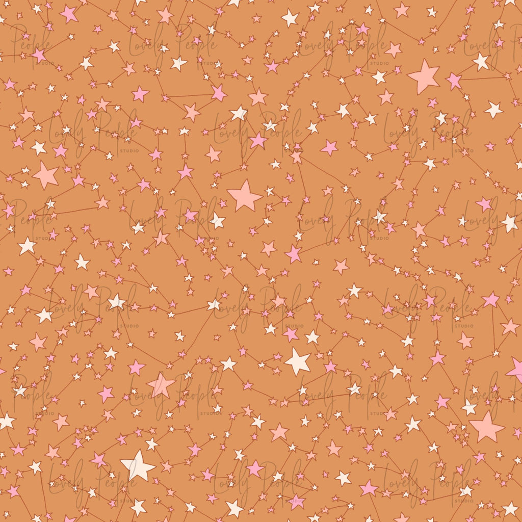 Zodiac Constellations