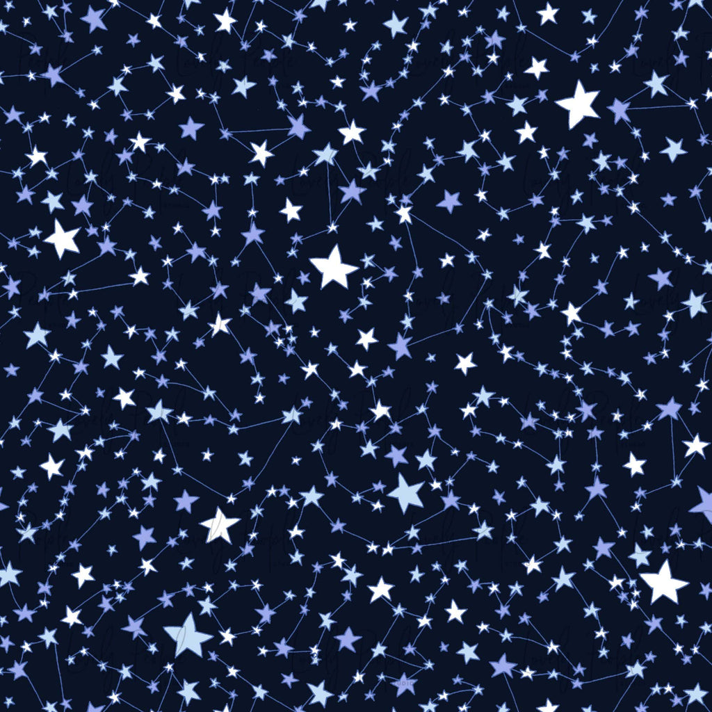 Zodiac Constellations