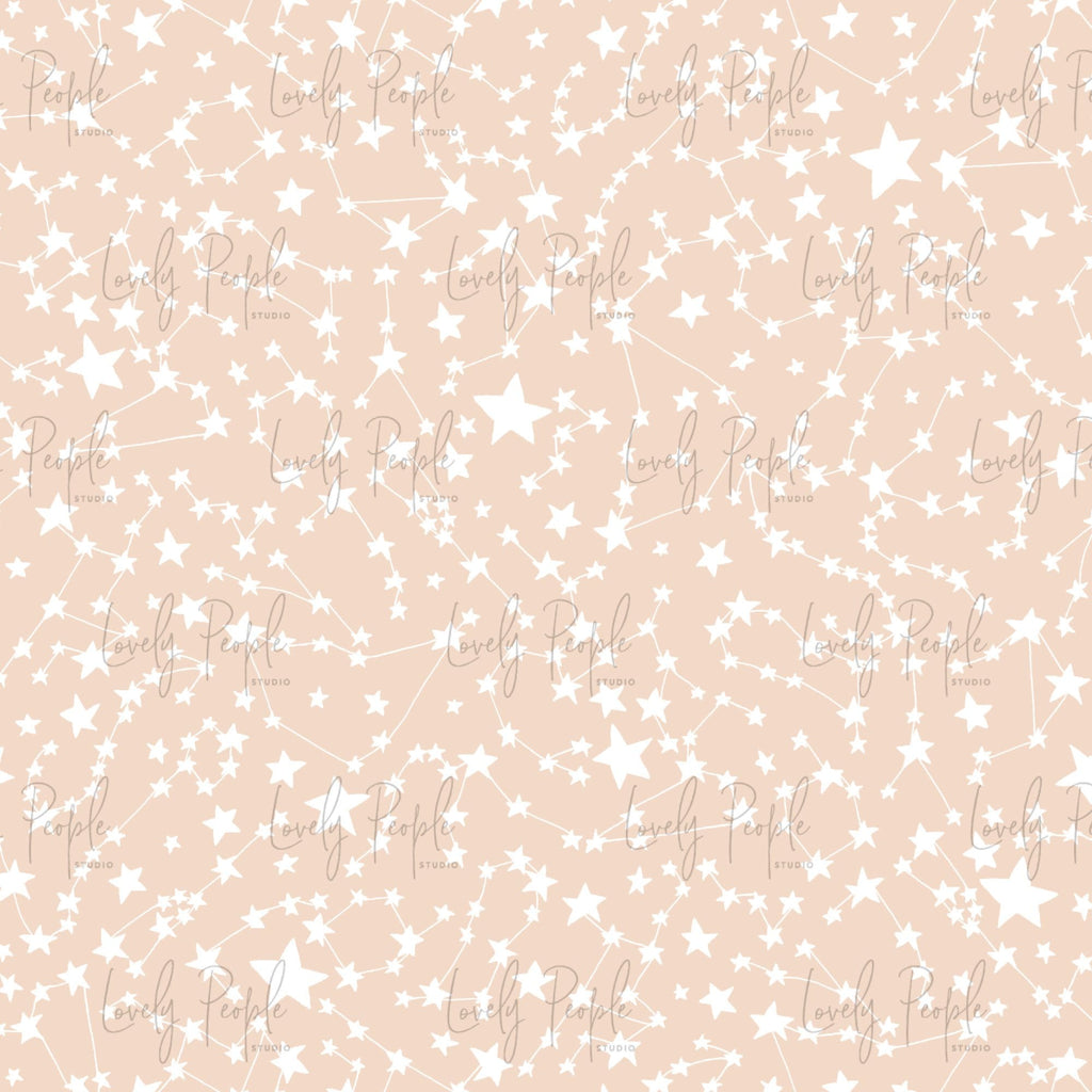 Zodiac Constellations
