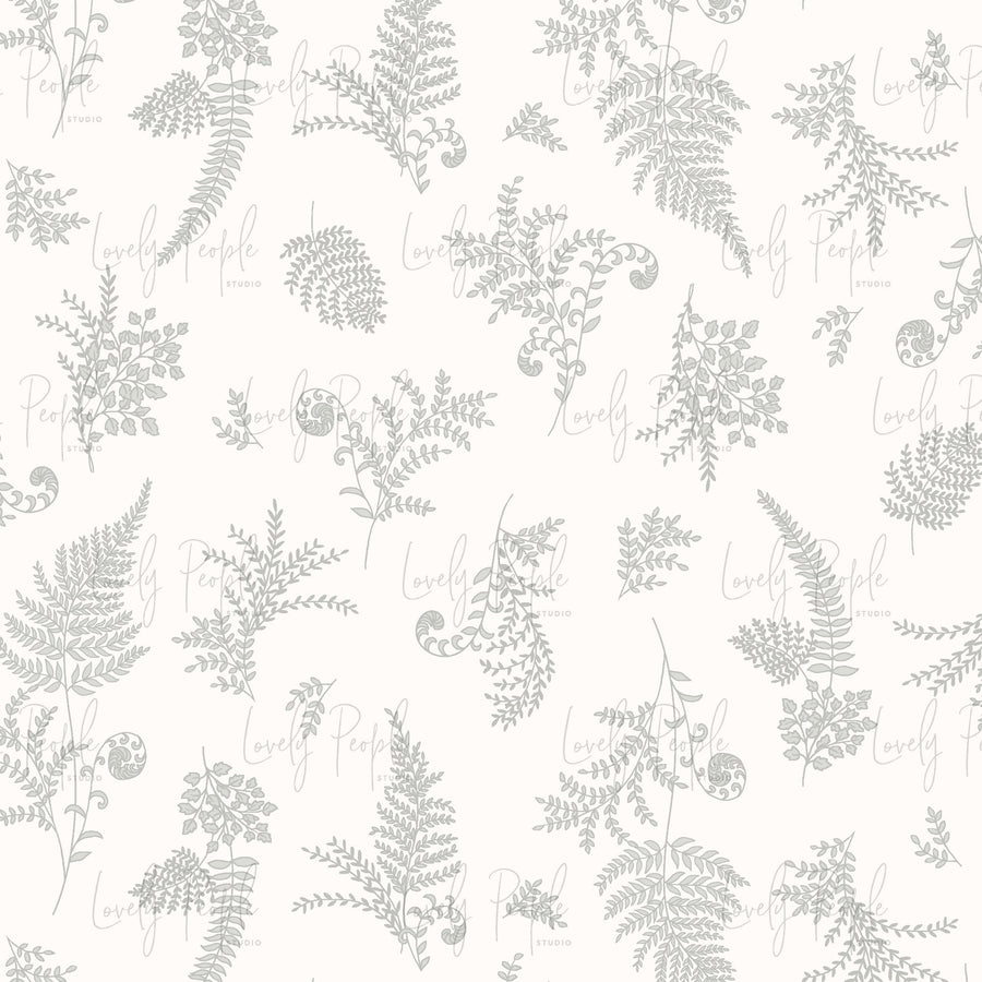 Ferns