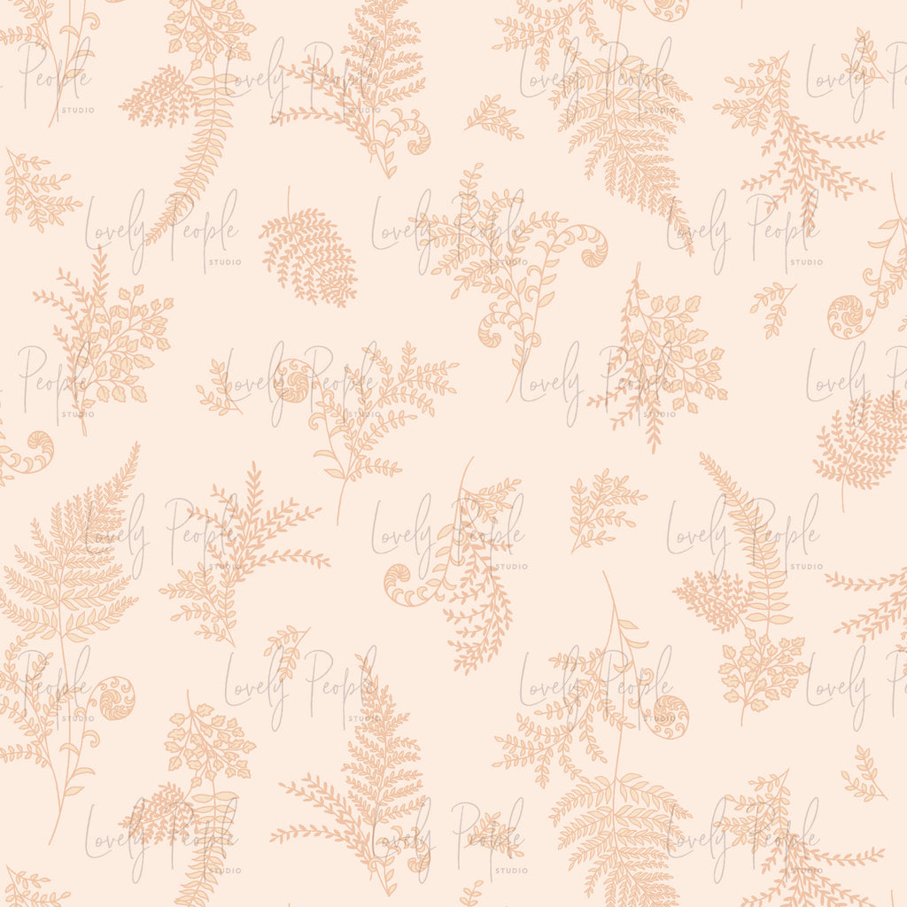 Ferns