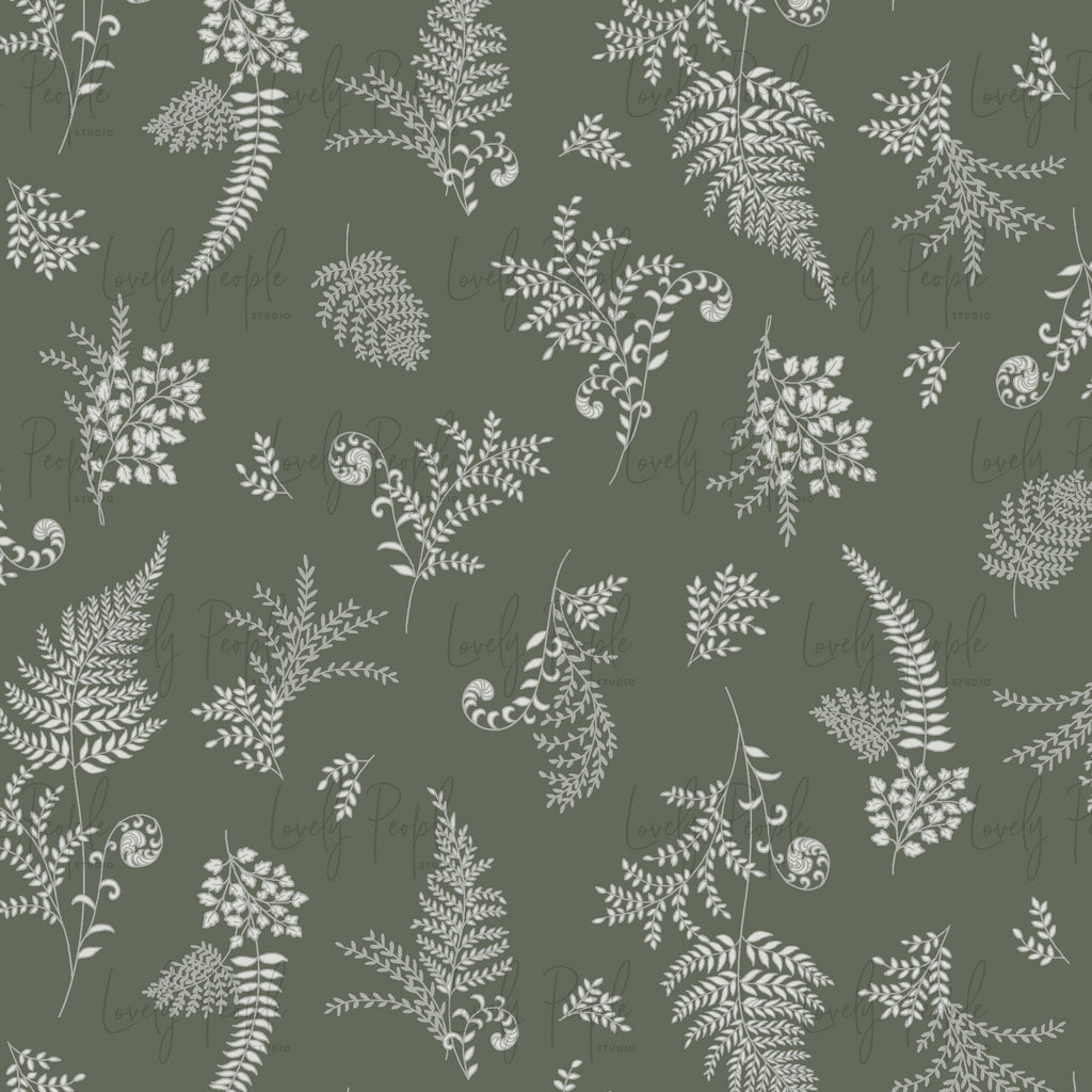Ferns
