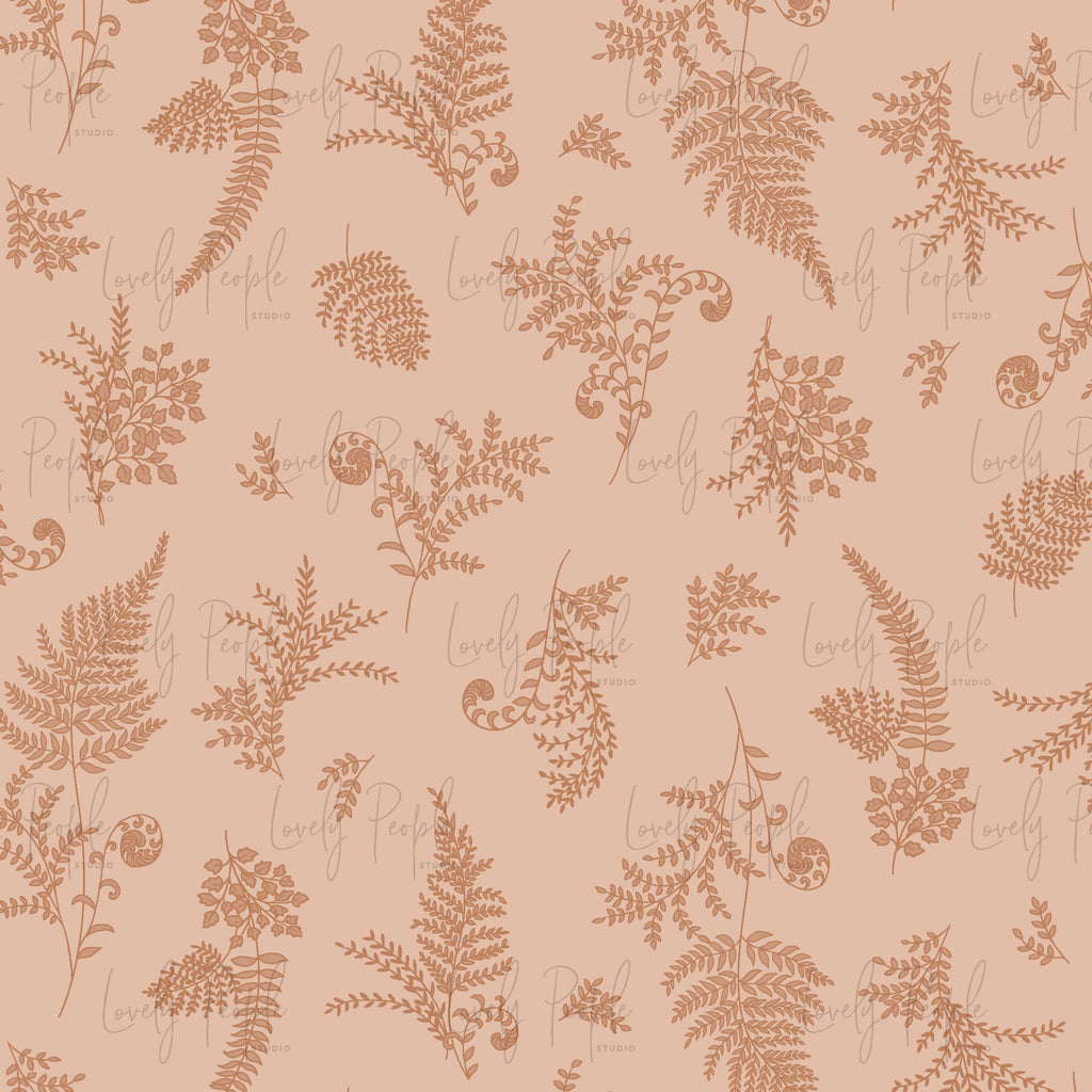 Ferns
