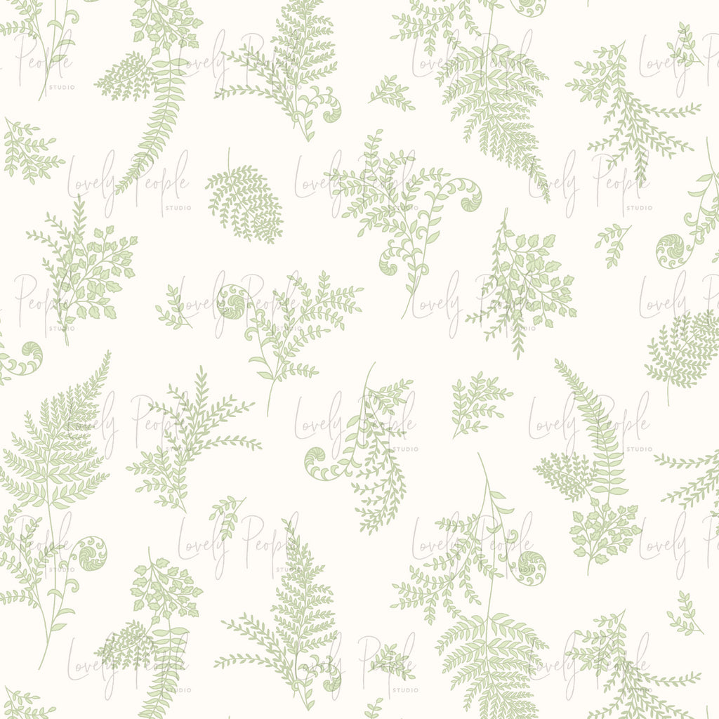 Ferns